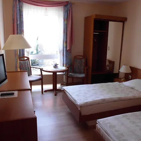 Hotel Am Park Garni 3*